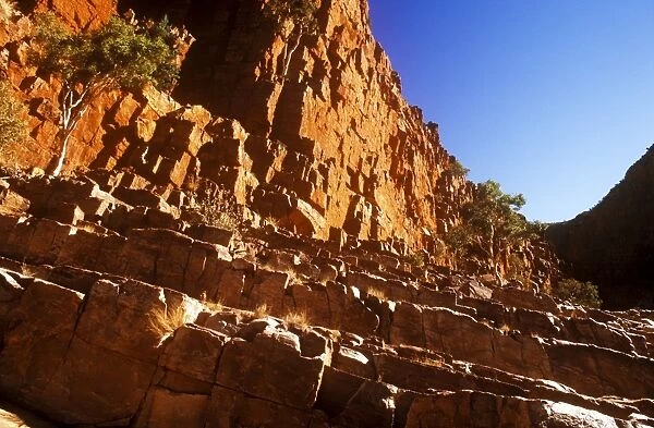 AUSTRALIA, Northern Territory, West Macdonnell National Park
