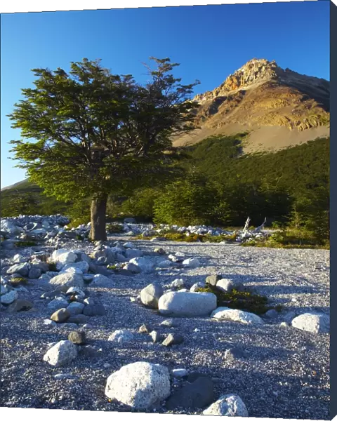 Argentina, Patagonia, Los Glaciares National Park. Early morning scene of a dry riverbed by the Poincenot campsite, below the Fitz