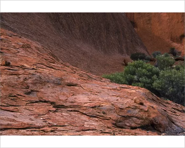 AUSTRALIA, Northern Territory, Uluru National Park