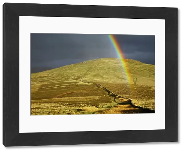 England, Northumberland, The Pennine Way. A rainbow above the Schil on the England