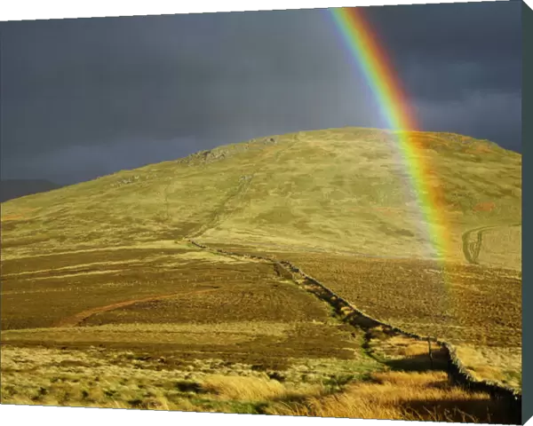 England, Northumberland, The Pennine Way. A rainbow above the Schil on the England