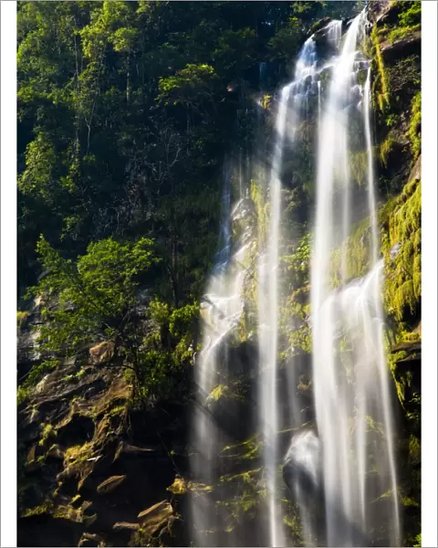 Laos, Ban Na Hin, Waterfall. Shafts of light pass through vegetation hanging to the rock face near a
