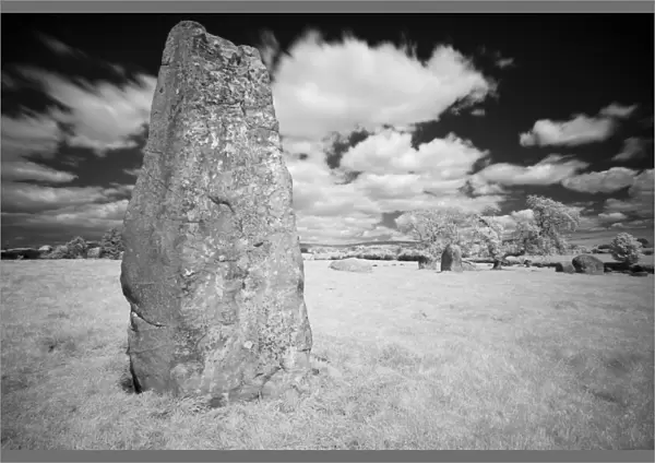 England, Cumbria, Little Salkeld. Long Meg and her daughters, one of the finest stone circles to be found in the north
