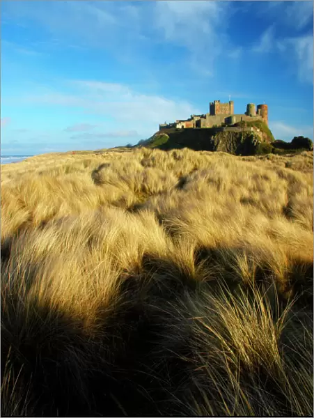 England Northumberland Bamburgh Castle. Sand dunes and vegetation near Bamburgh
