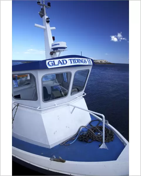 England Northumberland Farne Islands Glad Tidings boat trip to the Farne Islands