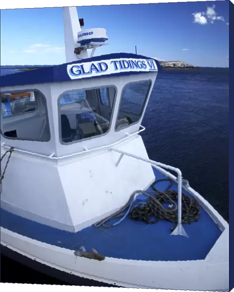 England Northumberland Farne Islands Glad Tidings boat trip to the Farne Islands