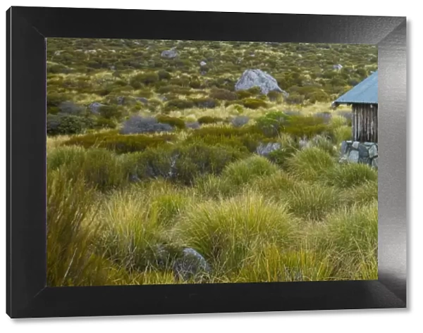 New Zealand, Canterbury, Mt Cook National Park. Stocking Stream Shelter