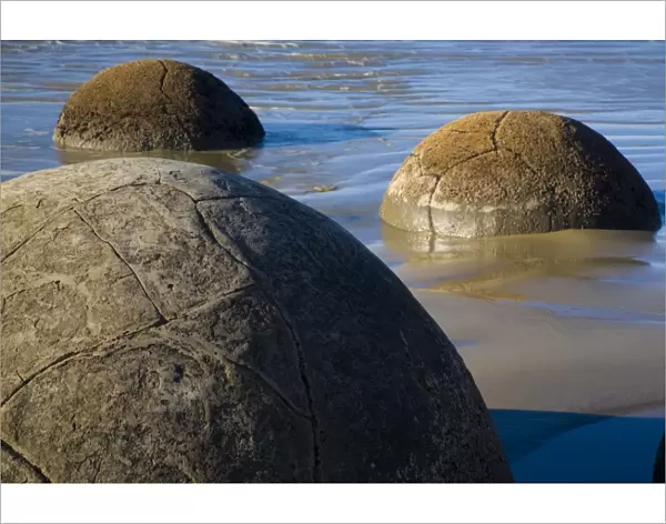 New Zealand, Otago, Moeraki Boulders. The famous spherical Moeraki boulders on the North Otago coast