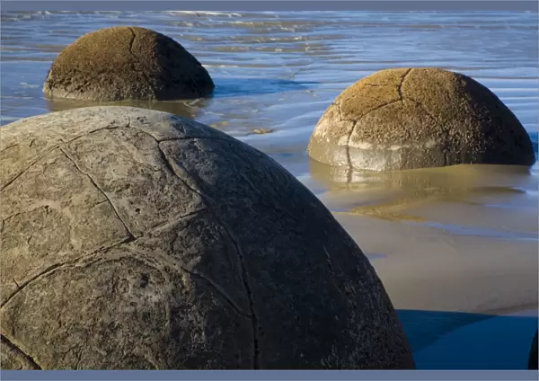 New Zealand, Otago, Moeraki Boulders. The famous spherical Moeraki boulders on the North Otago coast