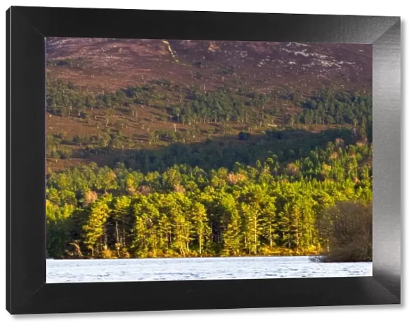 Scotland, Scottish Highlands, Cairngorms National Park. Castle located on Loch an Eilein