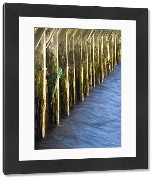 England, Tyne & Wear, North Shields. Abstract view of a wooden sea break located near the mouth of the