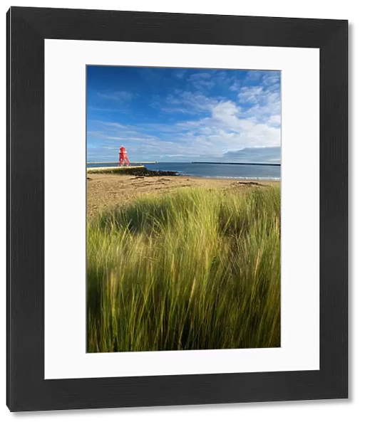 England, Tyne & Wear, South Shields. Grass on Little Haven Beach sand dunes