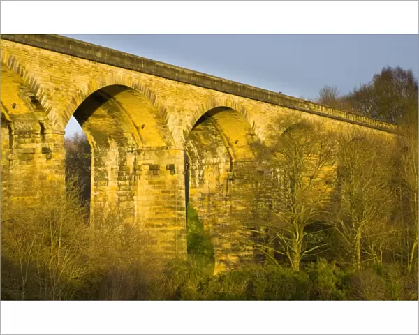 England, Tyne & Wear, Derwent Walk Country Park. The impressive Nine Arches Viaduct spanning the River Derwent in the Derwent Walk