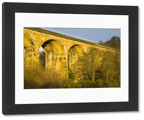 England, Tyne & Wear, Derwent Walk Country Park. The impressive Nine Arches Viaduct spanning the River Derwent in the Derwent Walk