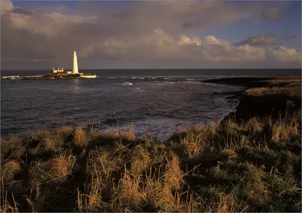Late afternoon light bathes the coastline of the North Tyneside Coast near Whitley Bay