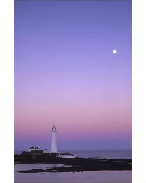 The popular landmark of the St Marys Island lighthouse photographed in January against a natural backdrop of a
