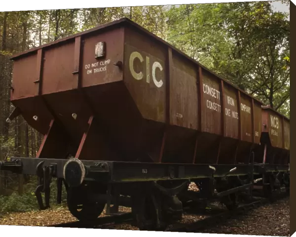 Train truck used to transport ore through what is now forestry commission woodland between High Spen and