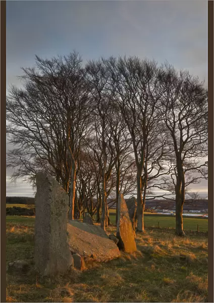 Scotland, Aberdeenshire, Tyrebagger Stone Circle