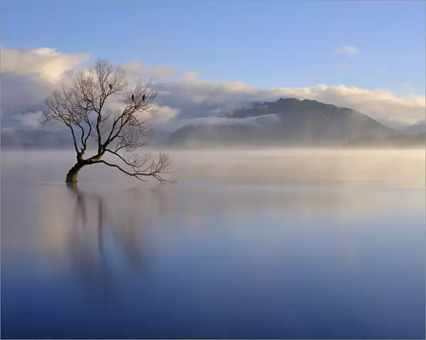New Zealand, Otago, Lake Wanaka