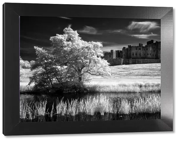 England, Northumberland, Alnwick Castle