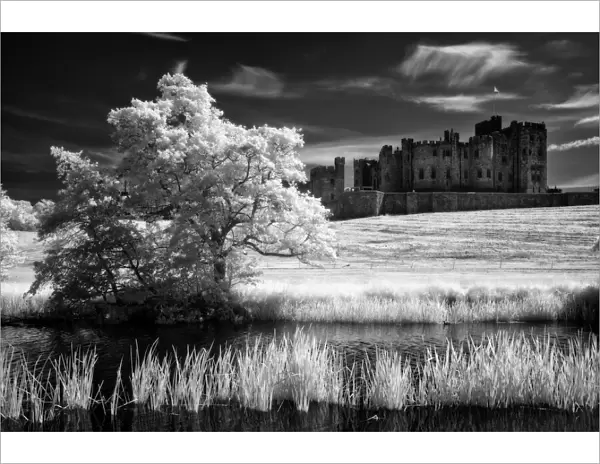 England, Northumberland, Alnwick Castle