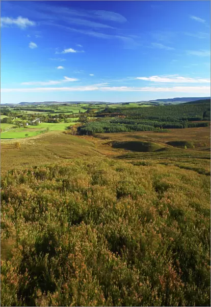 England, Northumberland, Northumberland National Park. View looking from Harbottle Crags Nature Reserve (Northumberland Wildlife Trust) towards Harbottle