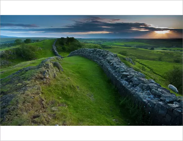 England, Northumberland, Hadrians Wall. A dramatic stretch of Hadrians Wall running along the Walltown
