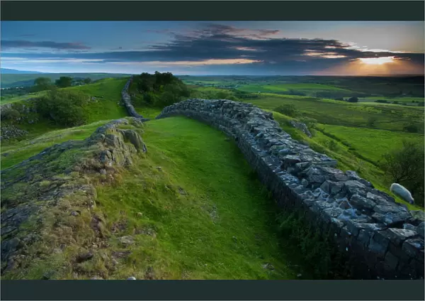 England, Northumberland, Hadrians Wall. A dramatic stretch of Hadrians Wall running along the Walltown