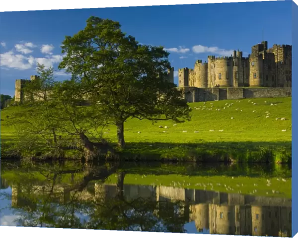 England, Northumberland, Alnwick. Alnwick Castle reflected in the still waters of the River Aln