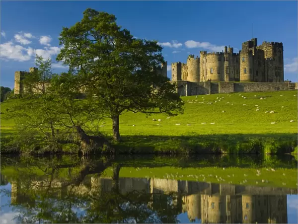 England, Northumberland, Alnwick. Alnwick Castle reflected in the still waters of the River Aln