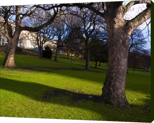 Scotland, Edinburgh, Princes Streeet Gardens. Trees and grass lawn in Princes Street Gardens
