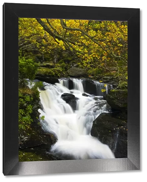 Scotland, Stirling, Loch Lomond and the Trossachs National Park. Arklet Falls