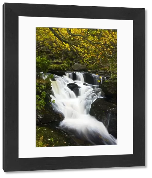 Scotland, Stirling, Loch Lomond and the Trossachs National Park. Arklet Falls