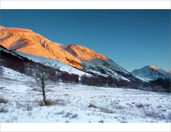 Scotland, Scottish Highlands, Glen Nevis. The snow covered Glen Nevis, looking towards Carn Dearg on the lower slopes of the highest mountain to be found in Scotland and the UK -