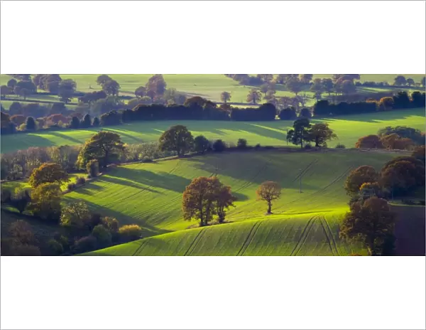 England, Staffordshire  /  Worcestershire, Kinver Edge. The rolling hills