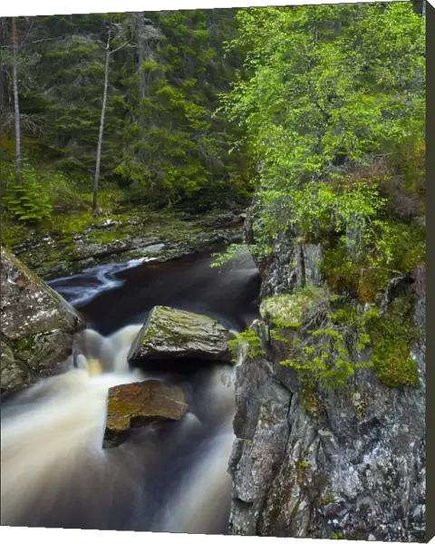 Scotland, Scottish Highlands, Laggan. Waterfalls on the River Pattack near Loch Laggan