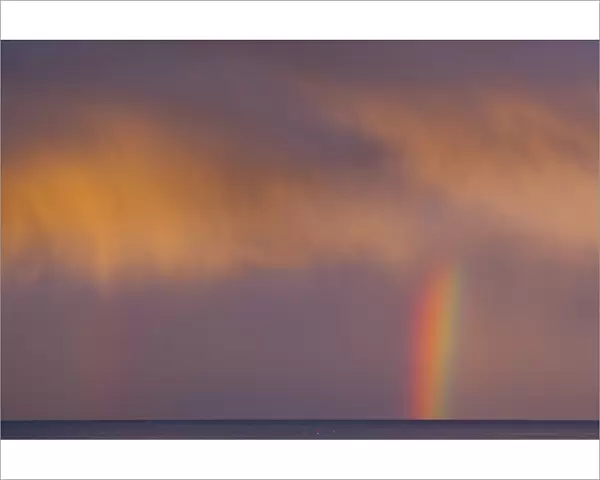Scotland, Scottish Borders, Burnmouth. Rainbow above the north sea, photographed just before sunset