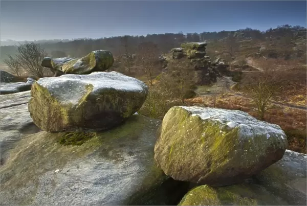 England, North Yorkshire, Brimham Rocks. Unique Rock formations of Brimham Rocks at Brimham in Nidderdale, found scattered over the wild expanse of