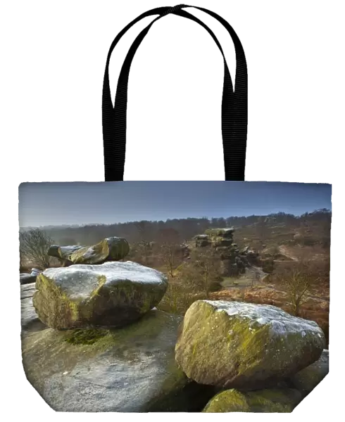 England, North Yorkshire, Brimham Rocks. Unique Rock formations of Brimham Rocks at Brimham in Nidderdale, found scattered over the wild expanse of