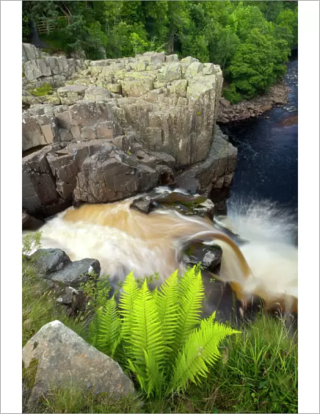 England, County Durham, High Force. The River Tees cascades down the High Force waterfall in County Durham