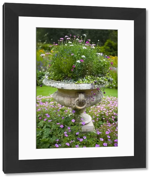 England, Northumberland, Wallington Hall and Walled Gardens. Stone flowerpot with an arrangement of flowering plants in the
