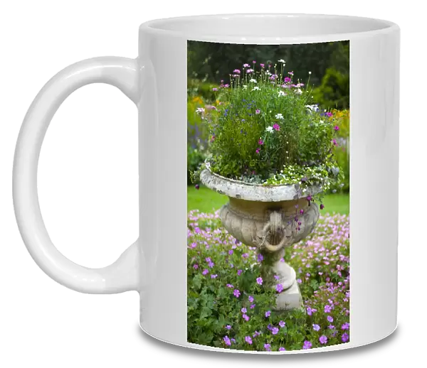 England, Northumberland, Wallington Hall and Walled Gardens. Stone flowerpot with an arrangement of flowering plants in the