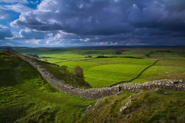 England, Northumberland, Northumberland National Park. A well preserved stretch of Hadrians Wall passing along