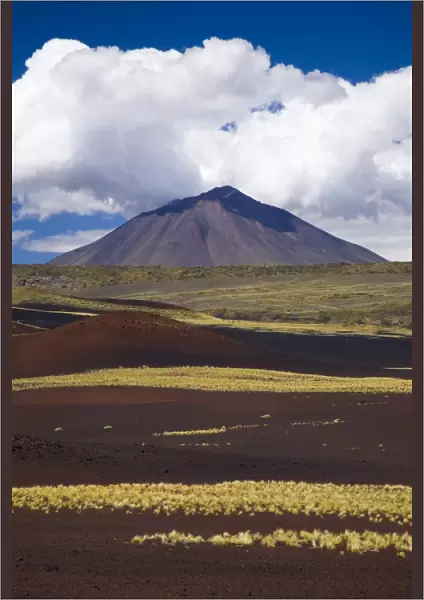 Argentina, Mendoza, Parque Provincial Payunia. The barren volcanic landscape of the reserve