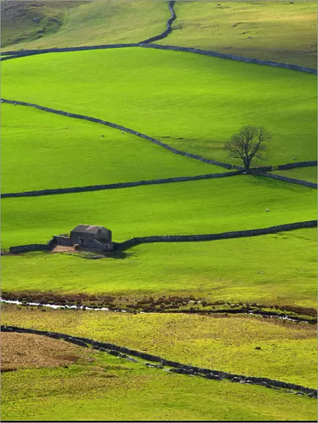 England, North Yorkshire, Yorkshire Dales National Park