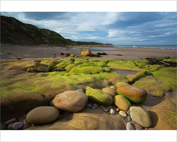 England, North Yorkshire, Scarborough. Scalby Ness Sands