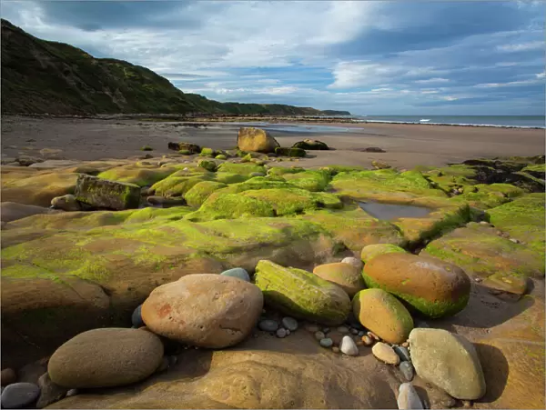 England, North Yorkshire, Scarborough. Scalby Ness Sands