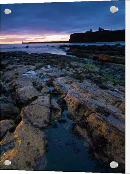 Sunrise over King Edwards Bay viewed from near Sharpness Point. The remains of Tynemouth Priory can be seen to