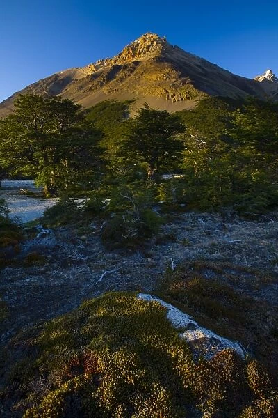 Argentina, Patagonia, Los Glaciares National Park. Early morning light on the foothills of the Fitz Roy range, by the