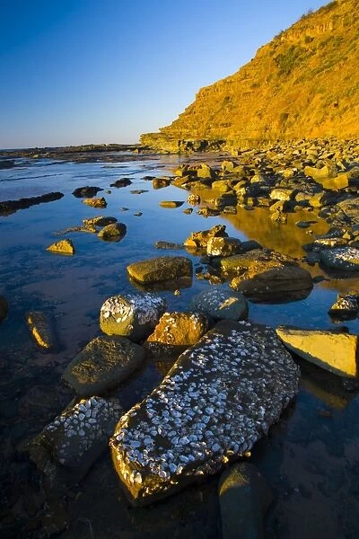Australia, New South Wales, Royal National Park. Early morning light gently illuminates the picturesque coastline found at North Era, on the Royal National Park